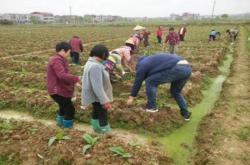 今日公布！福建云霄香烟批发货源网“谈笑风生”