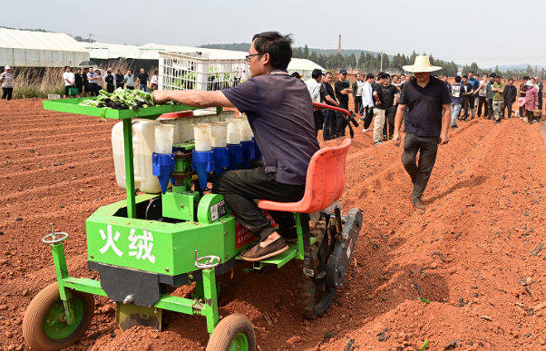 香烟云霄货和船货什么区别_云霄香烟_香烟云霄和越南代工哪个好抽