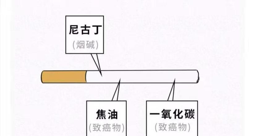 香烟包装盒_香烟芙蓉王香烟_香烟