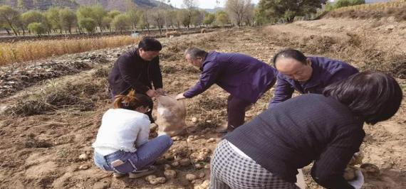 独家直击！香烟批发代理微信香烟一手货源“千呼万唤”