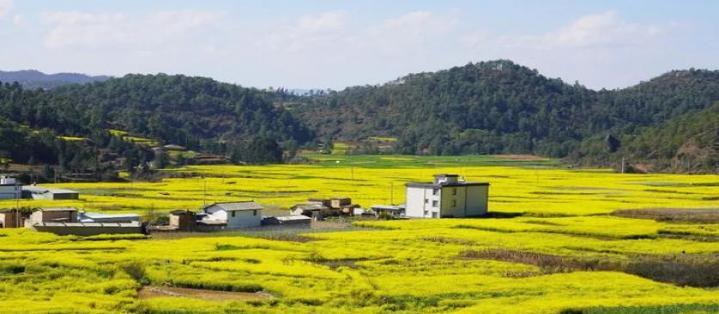 福建云霄香烟代理_香烟云霄代理电话_云霄香烟代理