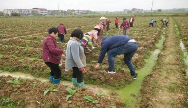 香烟云霄是什么意思_云霄香烟_香烟云霄货和船货什么区别