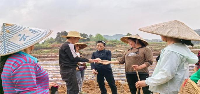 香烟云霄代理电话_云霄香烟代理_云霄香烟货源