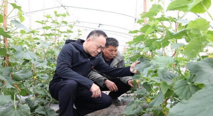 新消息！进口香烟和免税香烟区别“顺理成章”